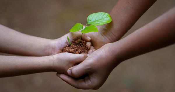 https://couponedge.in/img/images/tree-planting-together.jpg